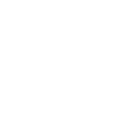 instagram-white